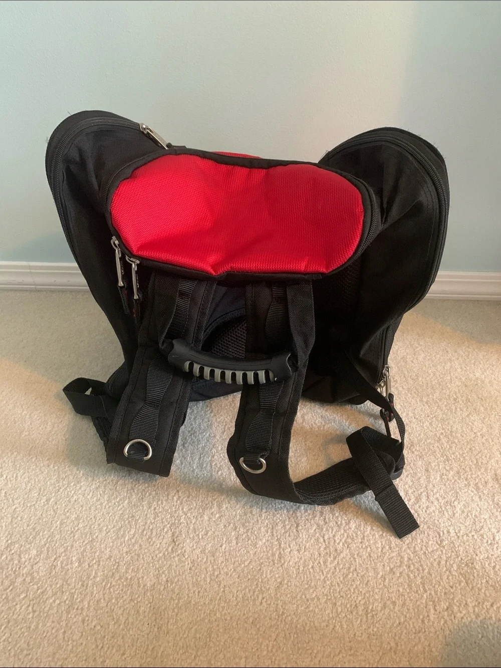 Athalon Red and Black Men’s Ski Bag